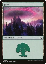 Forest card image