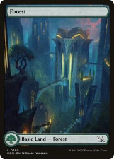 Forest card image