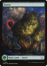 Forest card image