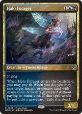 Halo Forager card image