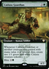 Caldaia Guardian card image