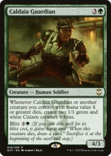 Caldaia Guardian card image