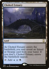 Choked Estuary card image