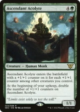 Ascendant Acolyte card image