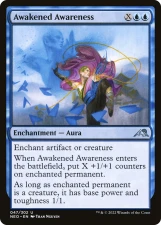 Awakened Awareness card image