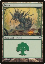 Forest card image