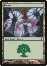 Forest card image