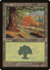 Forest card image