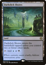 Darkslick Shores card image