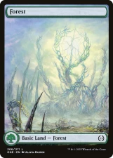 Forest card image