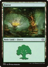 Forest card image