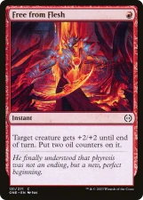 Free from Flesh card image