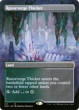 Razorverge Thicket card image