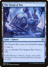 The Surgical Bay card image