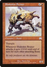 Shaleskin Bruiser card image