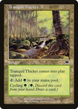Tranquil Thicket card image
