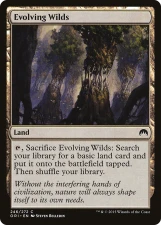 Evolving Wilds card image