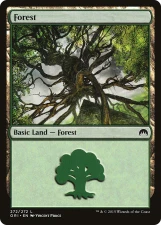 Forest card image