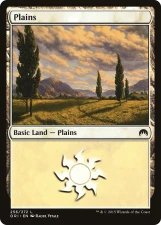 Plains card image