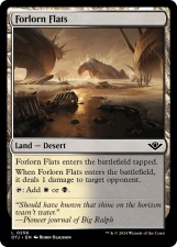 Forlorn Flats card image