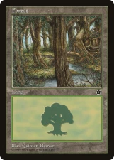 Forest card image