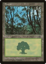 Forest card image