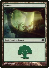 Forest card image