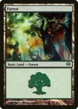 Forest card image