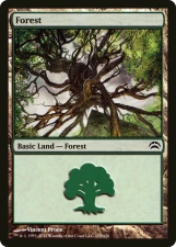 Forest card image