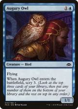 Augury Owl card image