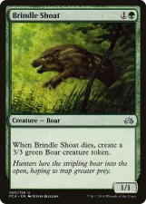 Brindle Shoat card image