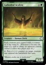 Cathedral Acolyte card image