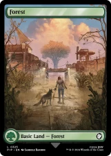 Forest card image