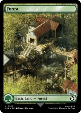 Forest card image