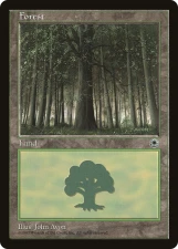 Forest card image