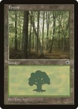 Forest card image