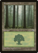 Forest card image