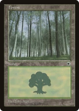 Forest card image