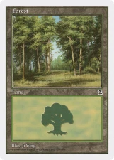 Forest card image