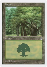 Forest card image