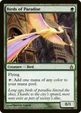 Birds of Paradise card image