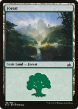 Forest card image