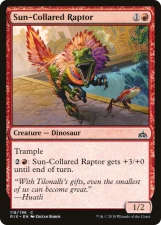 Sun-Collared Raptor card image