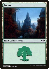 Forest card image