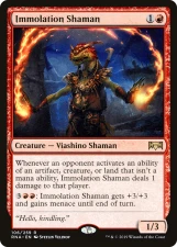 Immolation Shaman card image