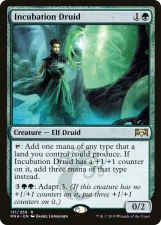 Incubation Druid card image