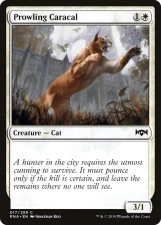 Prowling Caracal card image