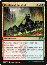 Rhythm of the Wild card image
