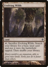 Evolving Wilds card image