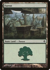 Forest card image